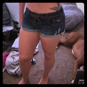 Hollister shorts with belt. NWT stretch comfy cute